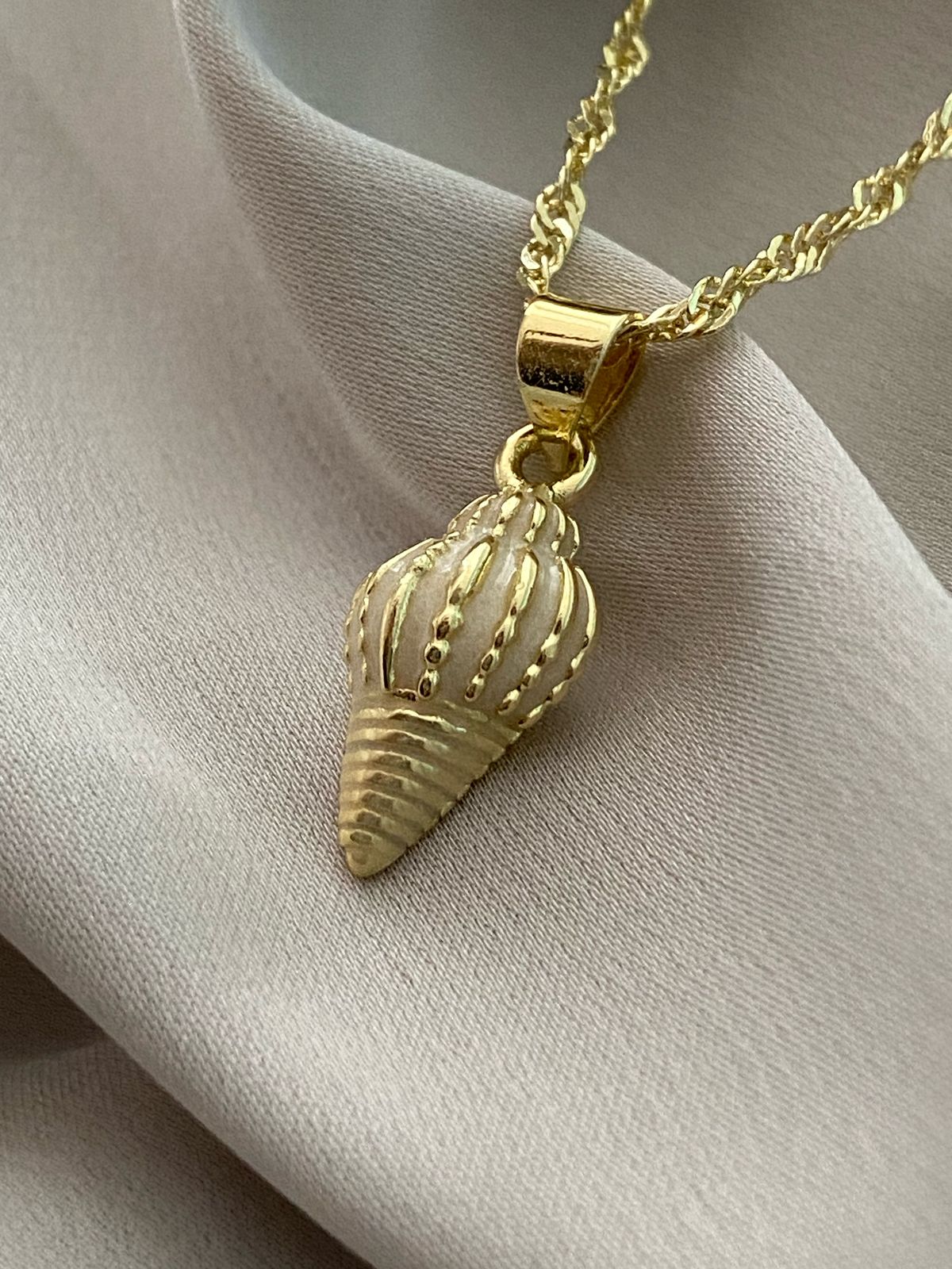 CARACOL BLANCO