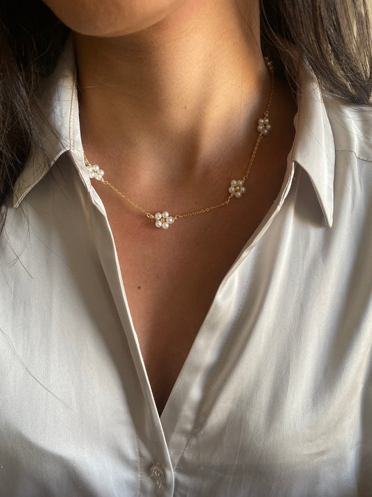 7 margaritas 🌼