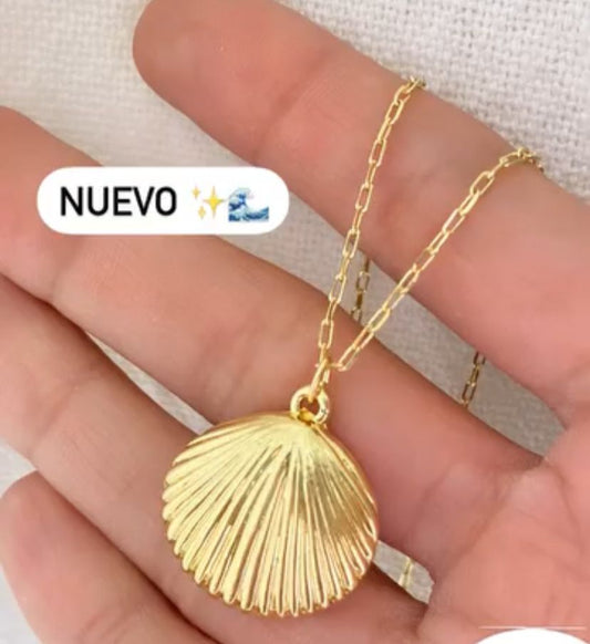 OSTRA CERRADA GOLD