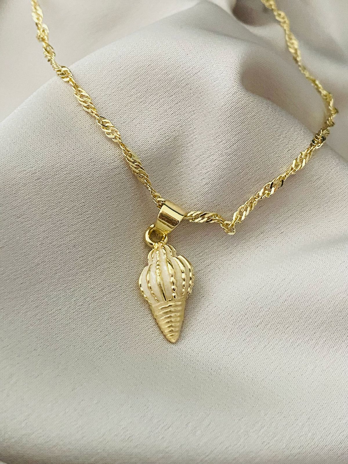 CARACOL BLANCO