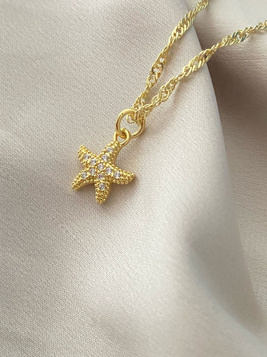 ESTRELLA DE MAR PEQUEÑA MICRO