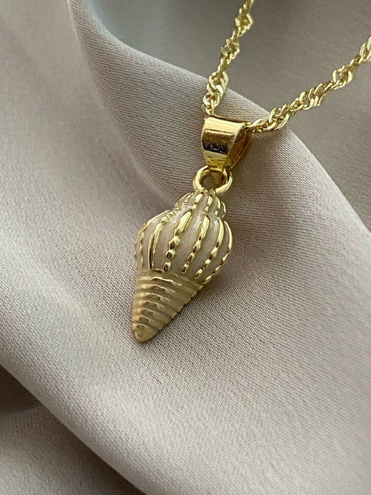 CARACOL BLANCO